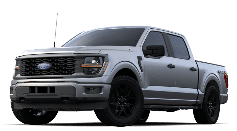 2024 Ford F-150 Vehicle Photo in Weatherford, TX 76087-8771